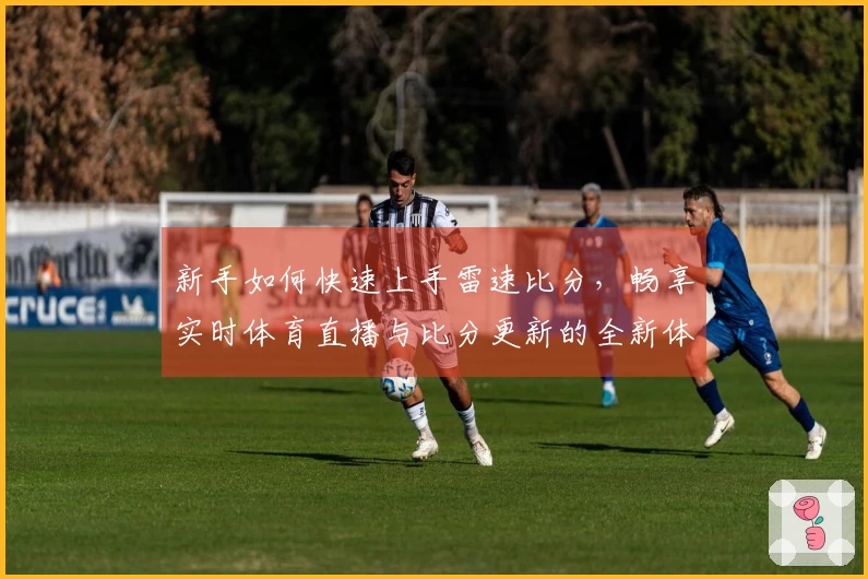 新手如何快速上手雷速比分，畅享实时体育直播与比分更新的全新体验